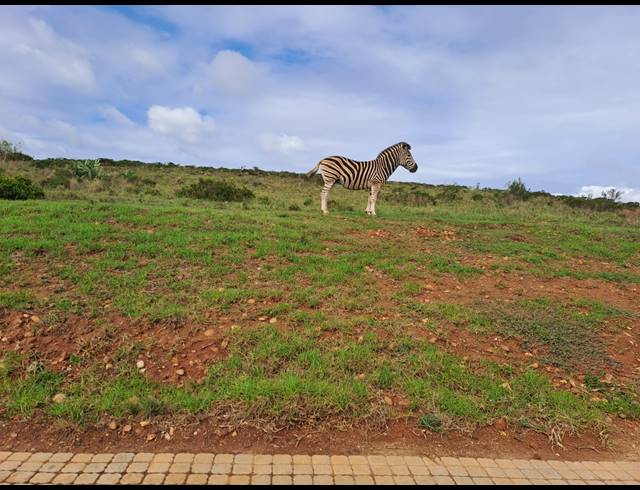 1,540M² VACANT LAND FOR SALE IN OUTENIQUASBOSCH